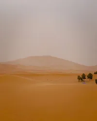 Desert haze
Erg Chebbi, Morocco | February 2024

#desert #sahara #saharadesert #sanddunes #nature #beautiful #ergchebbi #morocco #modernoutdoors #visualsofearth #ourplanetdaily #nakedplanet #travelphotography #traveldeeper #travelbug #passionpassport #travelwithme #exploretocreate #neverstopexploring #livetoexplore #wanderlust #discoverearth #shotoniphone #soulcollective #choosingouradventure #jfphototribute