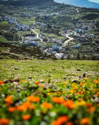 Flower fields of the Rif
Chefchaouen, Morocco | February 2024

#flowers #colorful #mountains #perspective #bokeh #nature #beautiful #rifmountains #chefchaouen #morocco #modernoutdoors #visualsofearth #ourplanetdaily #nakedplanet #travelphotography #traveldeeper #travelbug #passionpassport #travelwithme #exploretocreate #neverstopexploring #livetoexplore #wanderlust #discoverearth #shotoniphone #soulcollective #choosingouradventure #jfphototribute