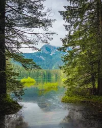 Through the trees
Durmitor NP, Montenegro | June 2022

#mountain #lake #reflection #nature #beautiful #green #crnojezero #durmitornationalpark #durmitor #montenegro #balkans #hiddenbalkans #modernoutdoors #visualsofearth #ourplanetdaily #nakedplanet #travelphotography #traveldeeper #travelbug #passionpassport #travelwithme #exploretocreate #neverstopexploring #livetoexplore #wanderlust #discoverearth #shotoniphone #soulcollective #choosingouradventure #jfphototribute