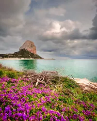 Monolith from afar
Calpe, Spain | April 2022

#flowers #rock #monolith #nature #beautiful #calpe #spain #modernoutdoors #visualsofearth #ourplanetdaily #nakedplanet #travelphotography #traveldeeper #travelbug #passionpassport #travelwithme #exploretocreate #neverstopexploring #livetoexplore #wanderlust #discoverearth #shotoniphone #soulcollective #choosingouradventure #jfphototribute