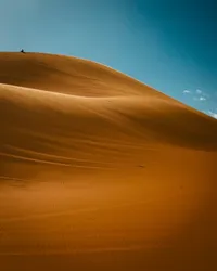 Man on sand dune 
Erg Chebbi, Morocoo | February 2024

#surreal #solitude #sand #sanddune #desert #nature #beautiful #ergchebbi #saharadesert #morocco #modernoutdoors #visualsofearth #ourplanetdaily #nakedplanet #travelphotography #traveldeeper #travelbug #passionpassport #travelwithme #exploretocreate #neverstopexploring #livetoexplore #wanderlust #discoverearth #shotoniphone #soulcollective #choosingouradventure #jfphototribute